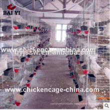 High quality pigeon farm supplier pigeon cage for sale